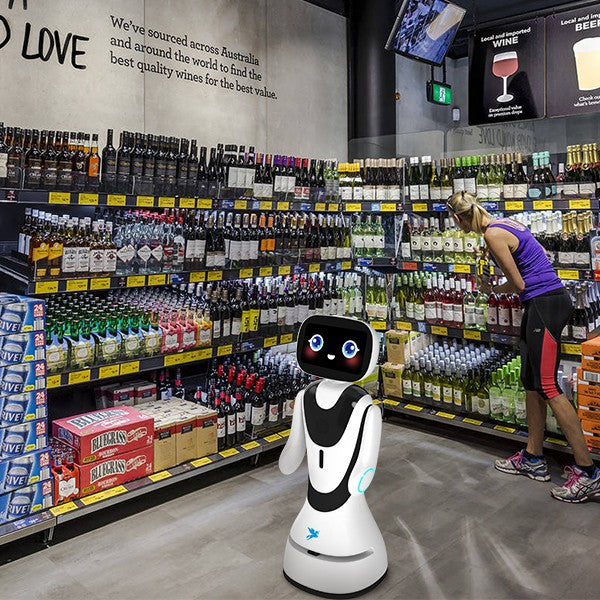 Alpha Robotics Hotel Reception Robot Timo – 13.3-inch Touchscreen Multilingual Hospitality Assistant - Image 5