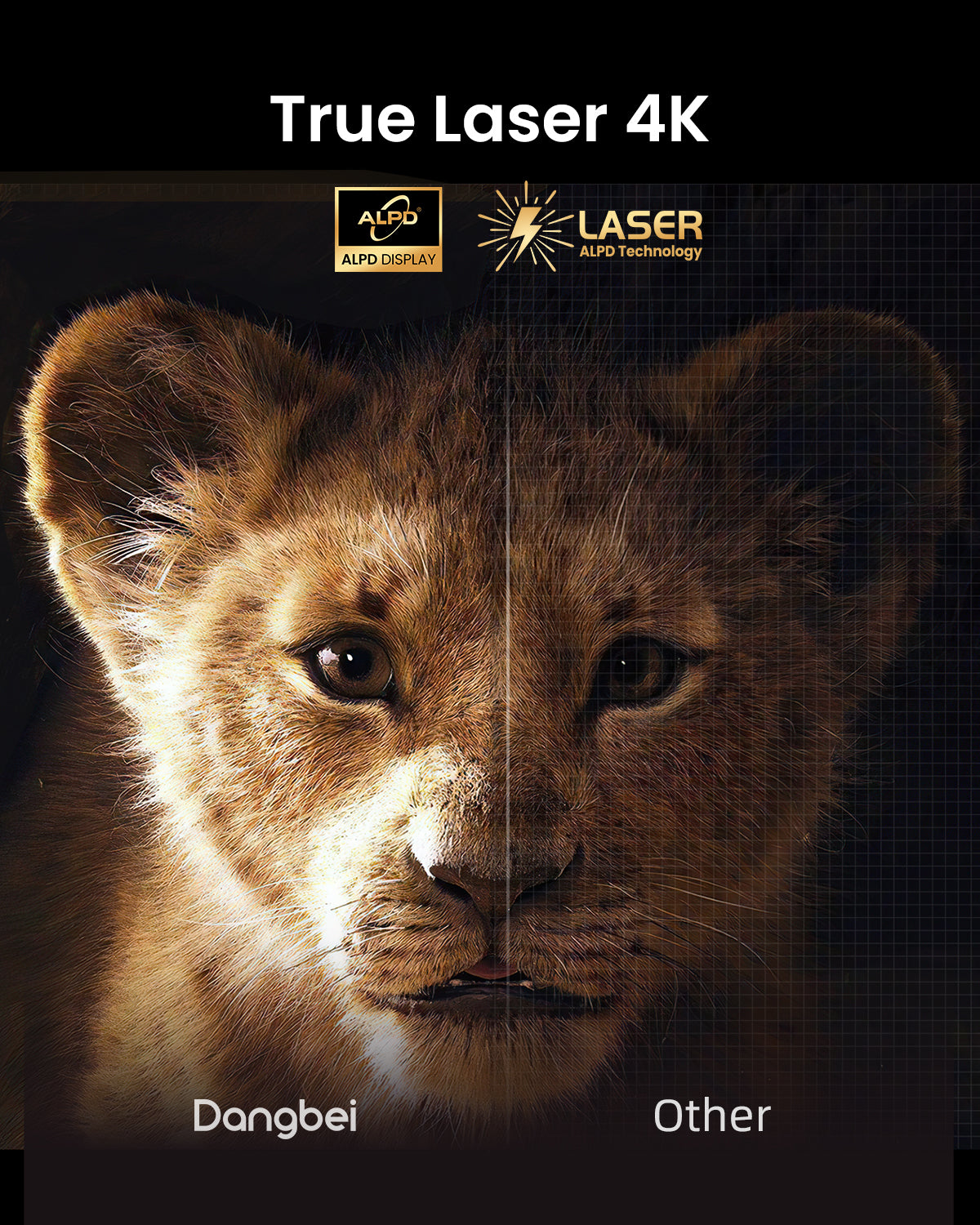 DBX3 Pro 4K Laser Projector - Image 2